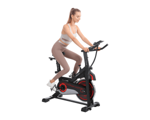 Vaya Pulse Motionscykel (forsalg)
